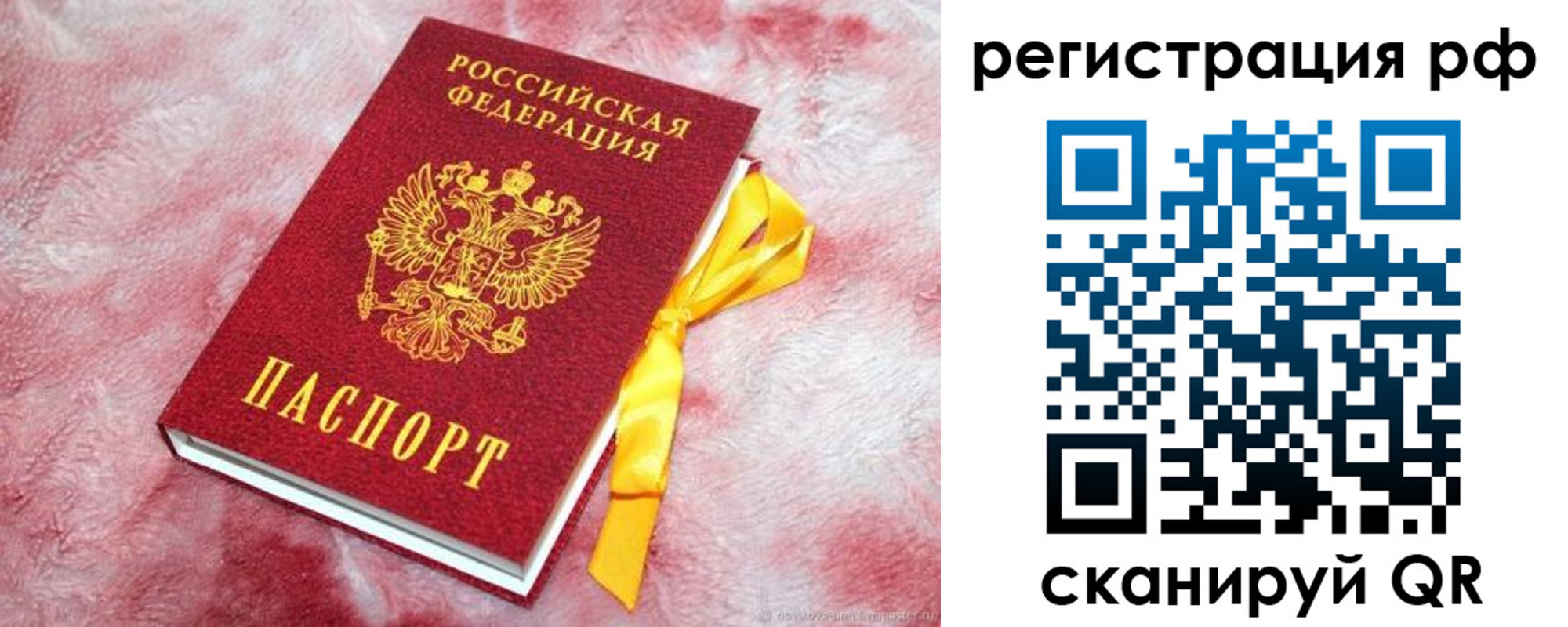 прописка в Липецкая области